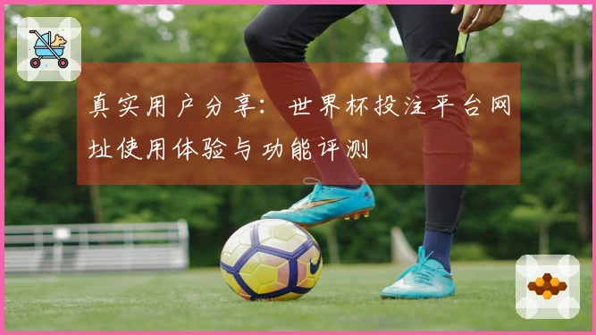 真实用户分享：世界杯投注平台网址使用体验与功能评测