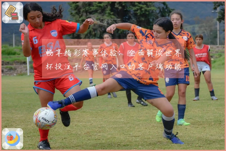 畅享精彩赛事体验：全面解读世界杯投注平台官网入口的客户端功能与使用指南