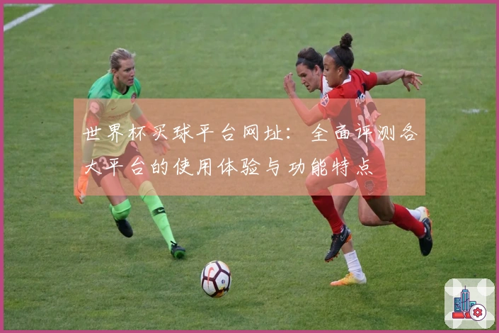 世界杯买球平台网址：全面评测各大平台的使用体验与功能特点