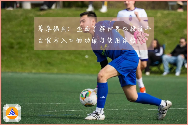 尊享福利：全面了解世界杯投注平台官方入口的功能与使用体验