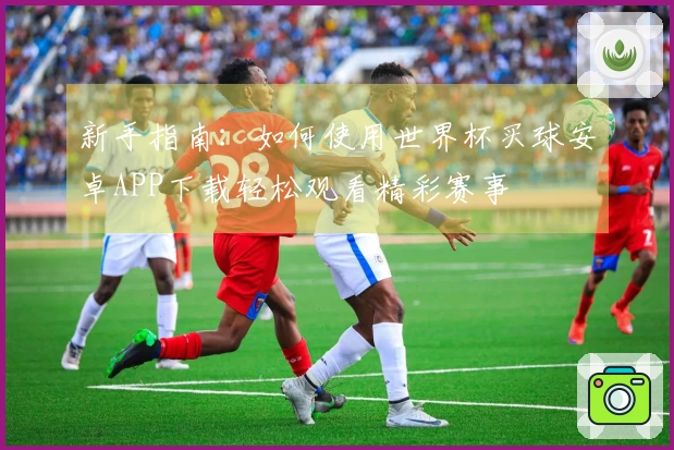 新手指南：如何使用世界杯买球安卓APP下载轻松观看精彩赛事