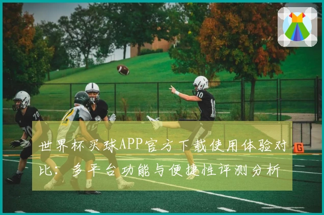 世界杯买球APP官方下载使用体验对比：多平台功能与便捷性评测分析