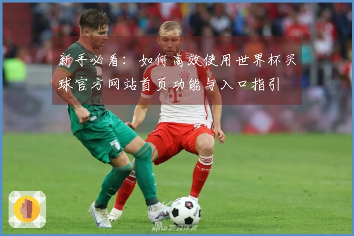 新手必看：如何高效使用世界杯买球官方网站首页功能与入口指引