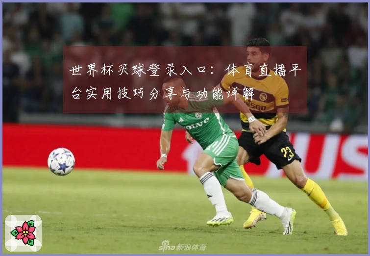 世界杯买球登录入口：体育直播平台实用技巧分享与功能详解