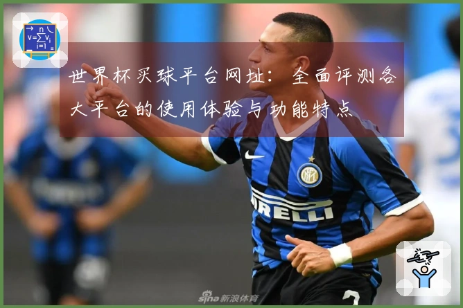 世界杯买球平台网址：全面评测各大平台的使用体验与功能特点