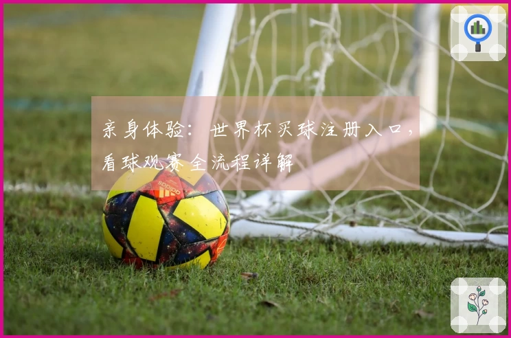 亲身体验：世界杯买球注册入口，看球观赛全流程详解