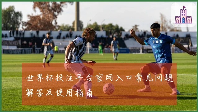 世界杯投注平台官网入口常见问题解答及使用指南