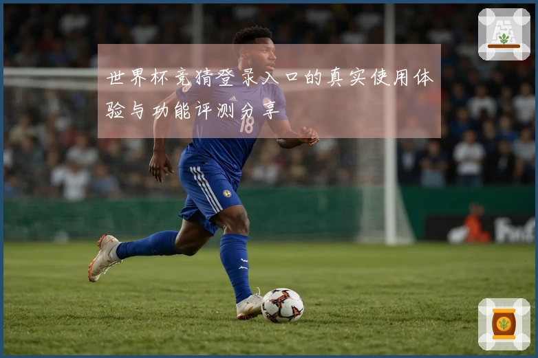 世界杯竞猜登录入口的真实使用体验与功能评测分享