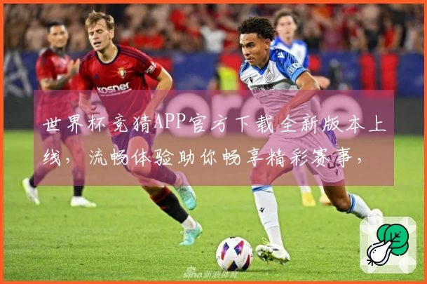 世界杯竞猜APP官方下载全新版本上线，流畅体验助你畅享精彩赛事，速来升级！