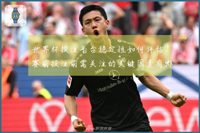 世界杯投注平台稳定性如何评估？赛前投注前需关注的关键因素有哪些？