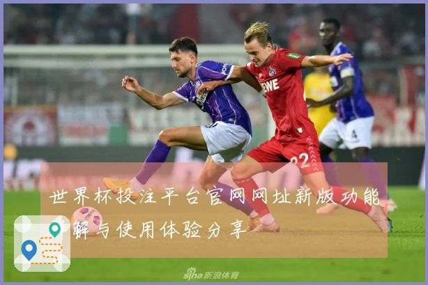 世界杯投注平台官网网址新版功能详解与使用体验分享