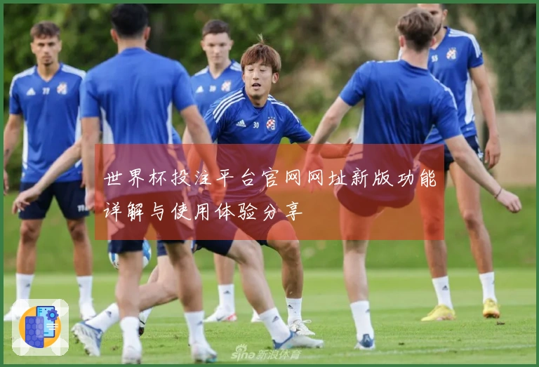 世界杯投注平台官网网址新版功能详解与使用体验分享