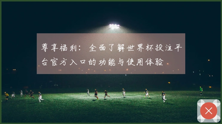 尊享福利：全面了解世界杯投注平台官方入口的功能与使用体验