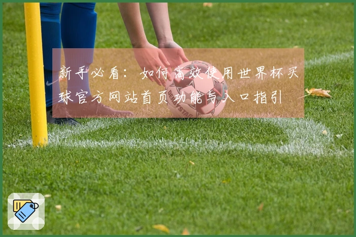 新手必看：如何高效使用世界杯买球官方网站首页功能与入口指引