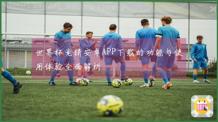 世界杯竞猜安卓APP下载的功能与使用体验全面解析
