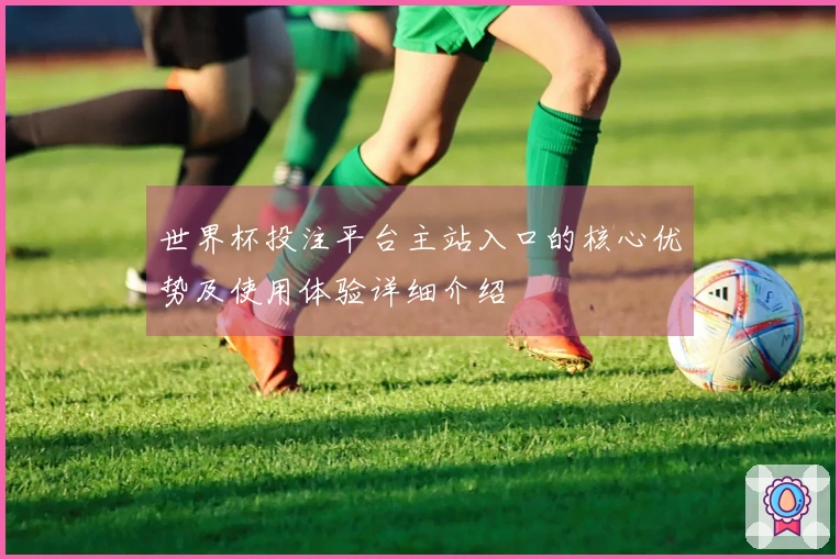 世界杯投注平台主站入口的核心优势及使用体验详细介绍