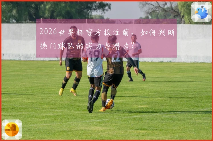 2026世界杯官方投注前，如何判断热门球队的实力与潜力？