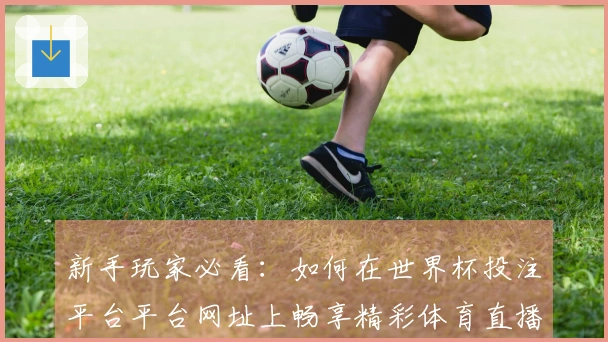 新手玩家必看：如何在世界杯投注平台平台网址上畅享精彩体育直播体验
